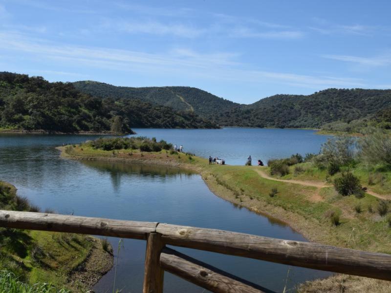 Tejadilla Casita Rural Cerca De Sevilla Con Piscina Dış mekan fotoğraf